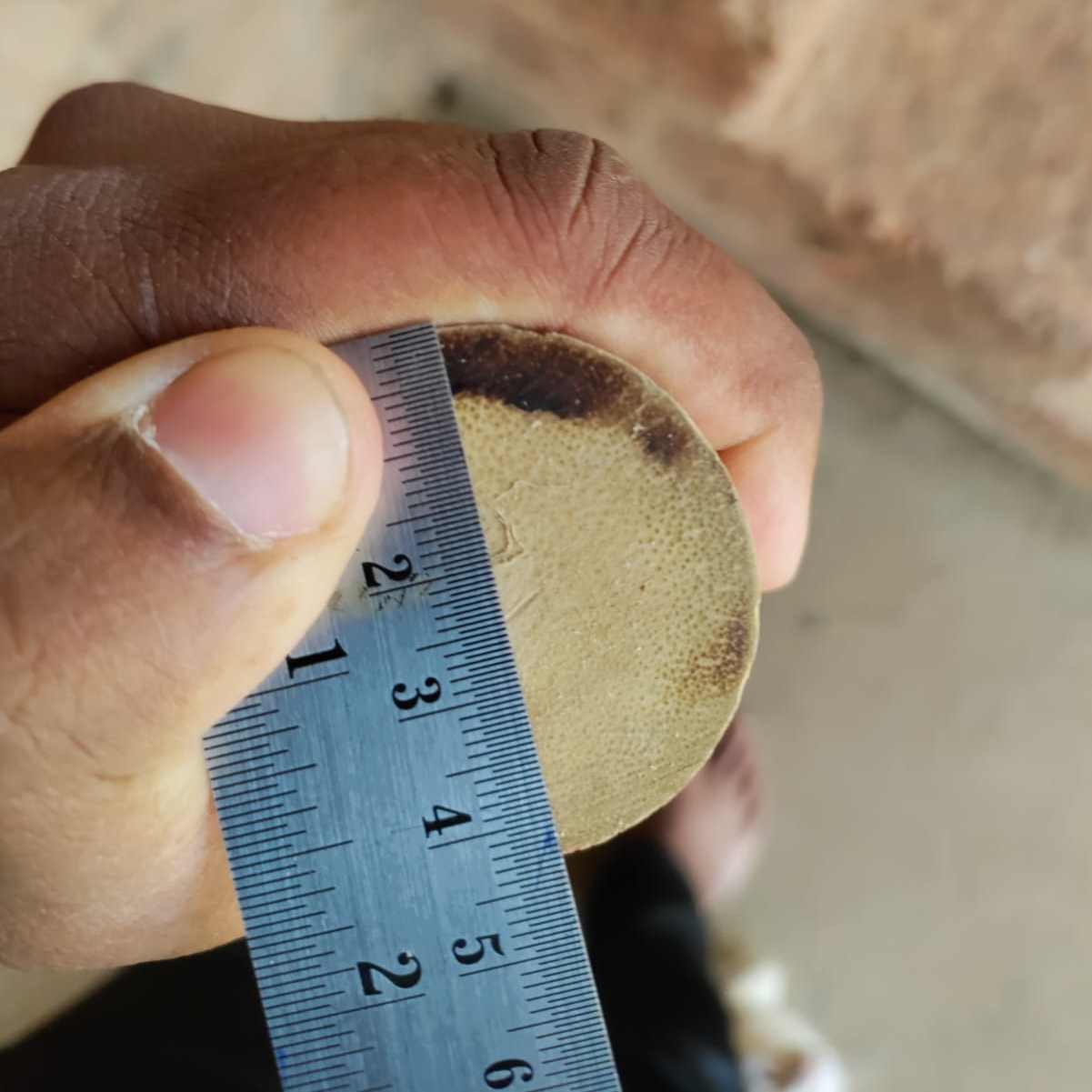 Thickness of Manga Bamboo